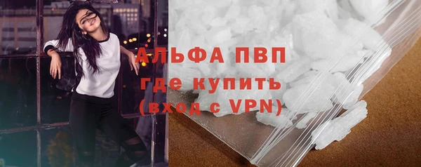 индика Богородск