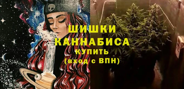 ПСИЛОЦИБИНОВЫЕ ГРИБЫ Рославль