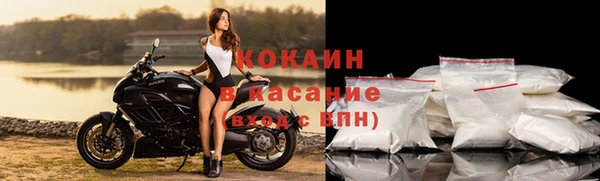 индика Богородск