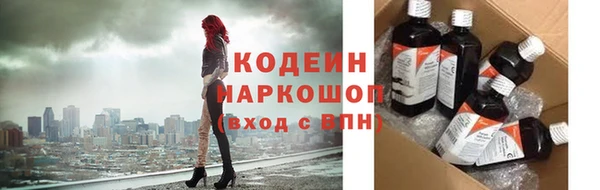 индика Богородск