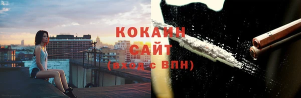 индика Богородск