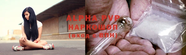 индика Богородск