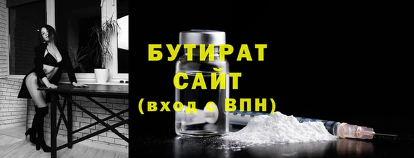 индика Богородск