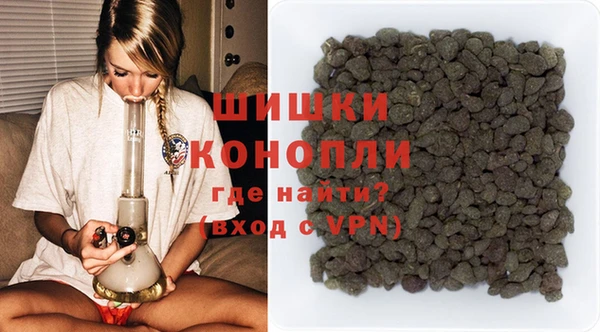 индика Богородск