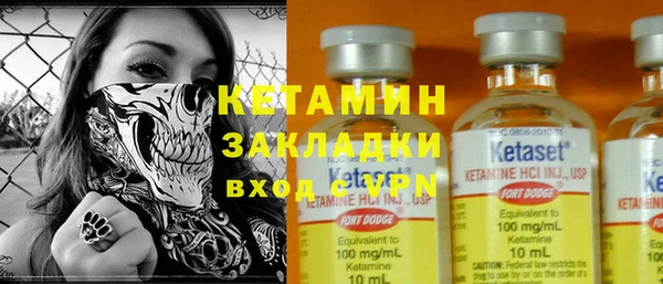 индика Богородск