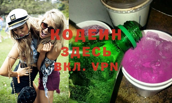 индика Россошь