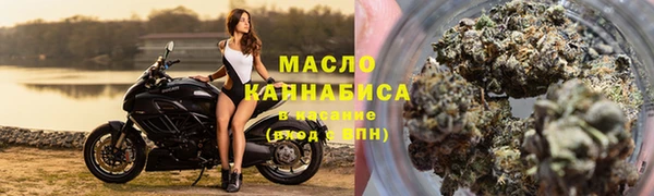 индика Богородск